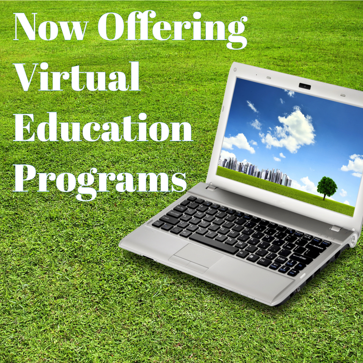 Virtual Programs 